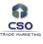Consultoría En Servicios Comerciales